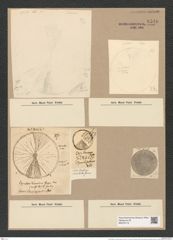 Coscinodiscus normanii Greg. (de-Toni-Nr.: Genus 202, Species 4947) Zeichnungen Sammlung Grunow Nr. 8540 (NHMW-BOT-W0378173)